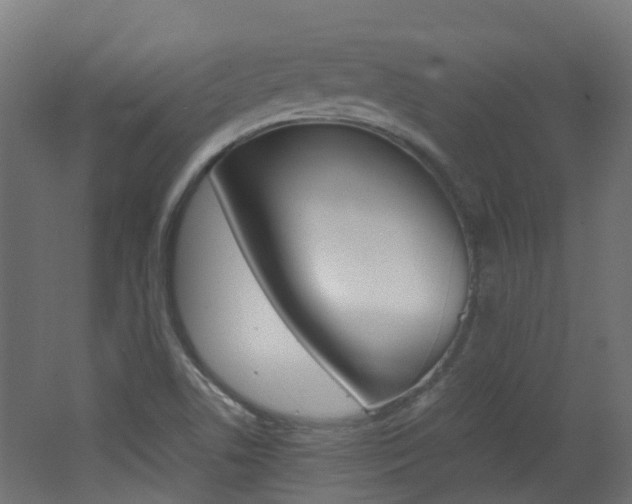 X0000062601506200512210856