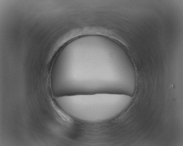 X0000062601507200512210856