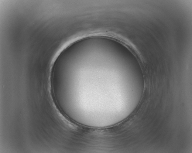 X0000062601512200512210856