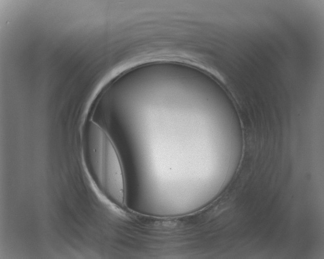 X0000062601515200512210856