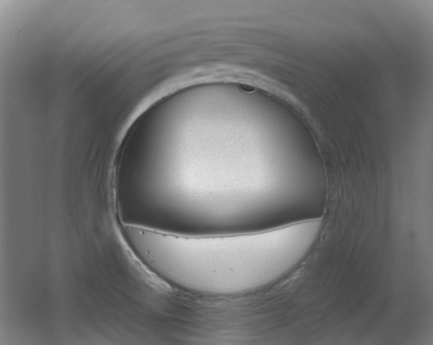 X0000062601522200512210857