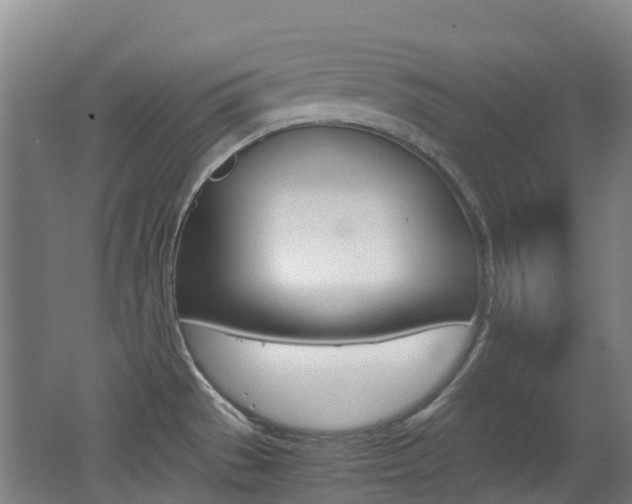 X0000062601529200512210857