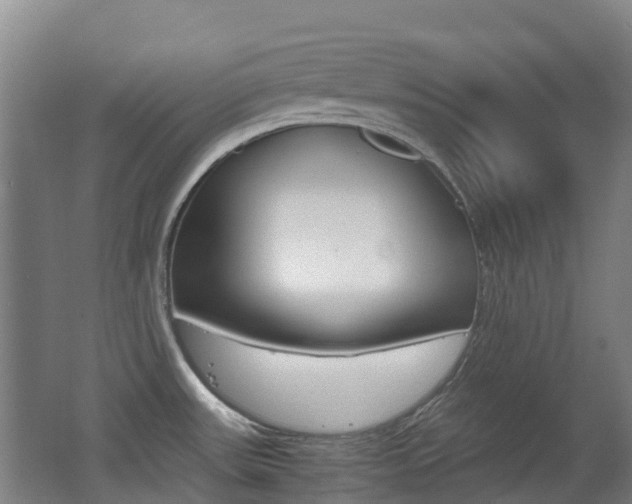 X0000062601531200512210857