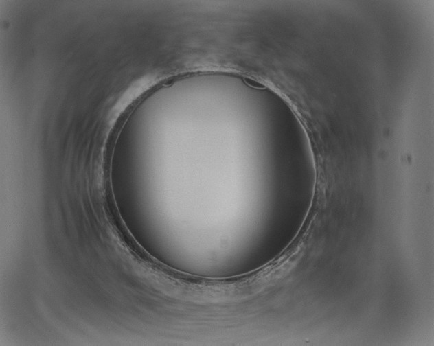 X0000062600008200512211122