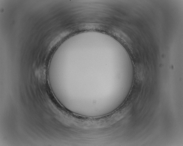 X0000062600016200512211122