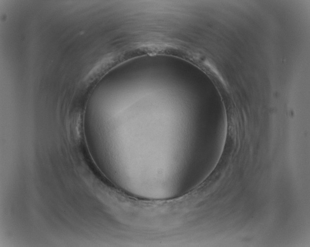 X0000062600023200512211122
