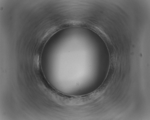 X0000062600024200512211122