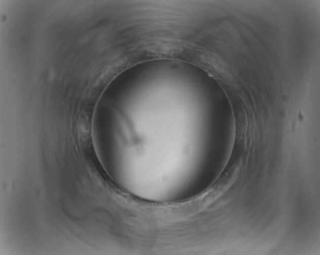 X0000062600040200512211122