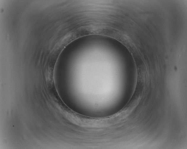 X0000062600044200512211122