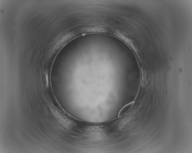 X0000062600061200512211121
