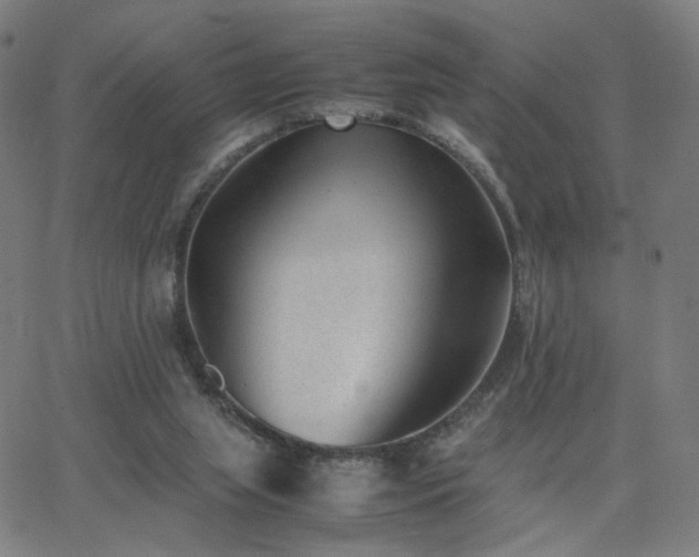 X0000062600063200512211121