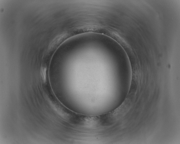 X0000062600070200512211121