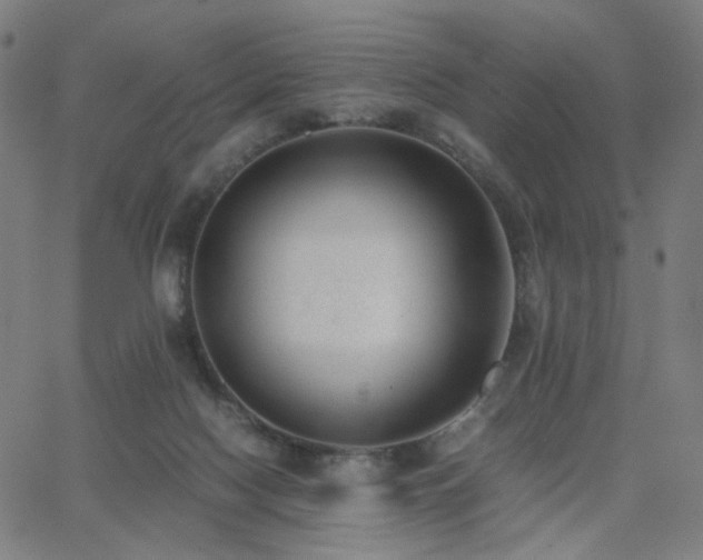 X0000062600074200512211121