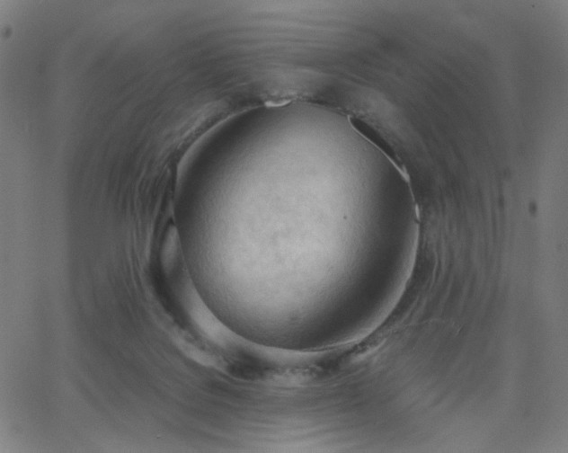 X0000062600076200512211121
