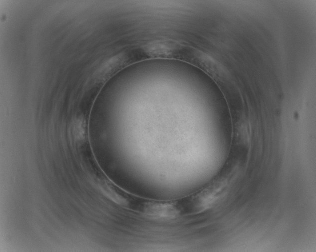 X0000062600081200512211121