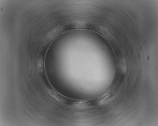 X0000062600082200512211121