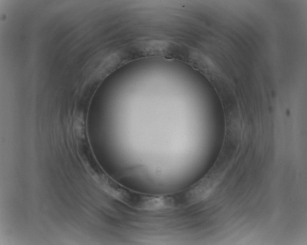 X0000062600083200512211121