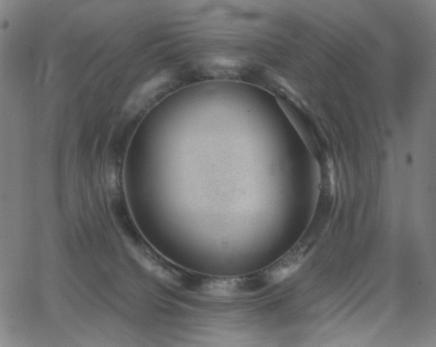 X0000062600084200512211121