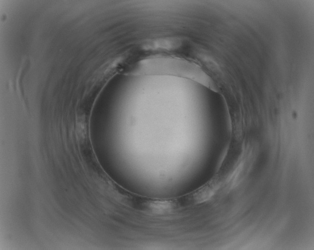 X0000062600085200512211121