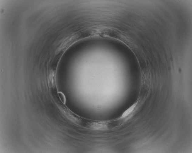 X0000062600094200512211122