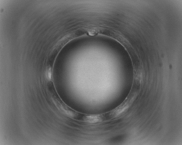 X0000062600095200512211122