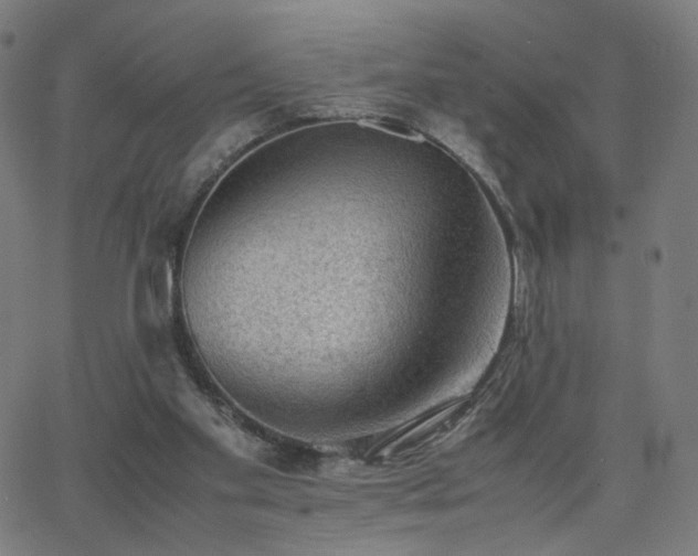 X0000062600109200512211121