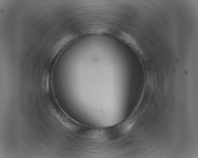 X0000062600110200512211121