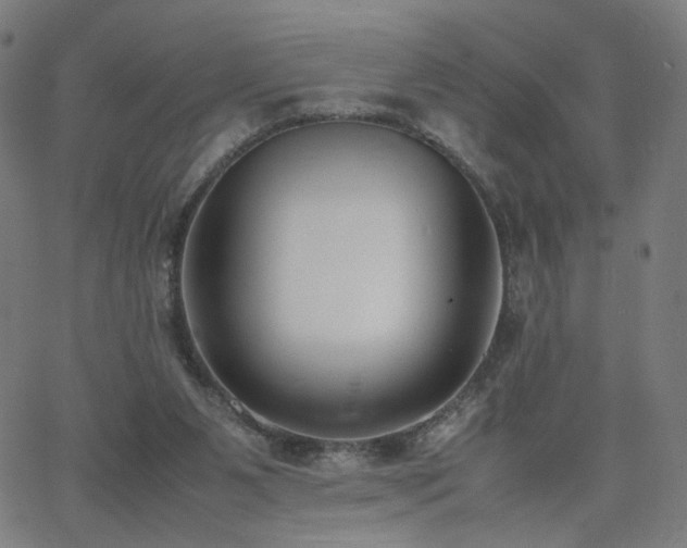 X0000062600111200512211121