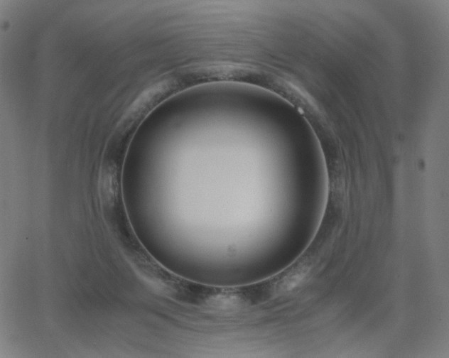X0000062600119200512211120
