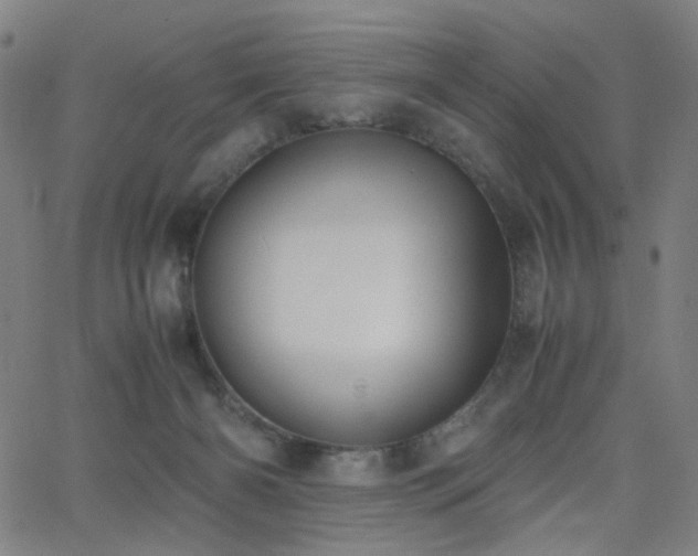 X0000062600126200512211120