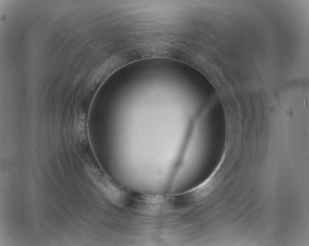 X0000062600144200512211120