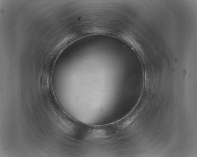 X0000062600157200512211119