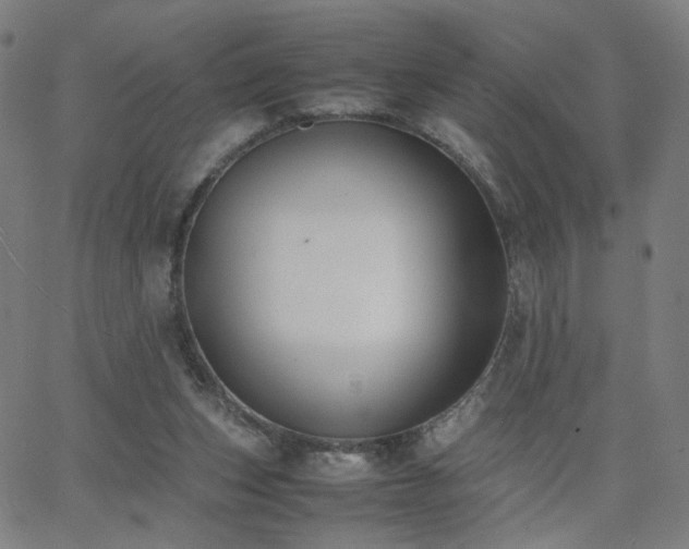 X0000062600159200512211119