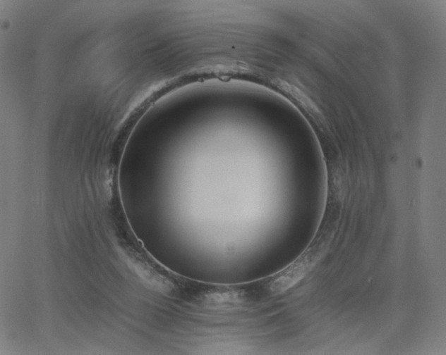 X0000062600160200512211119