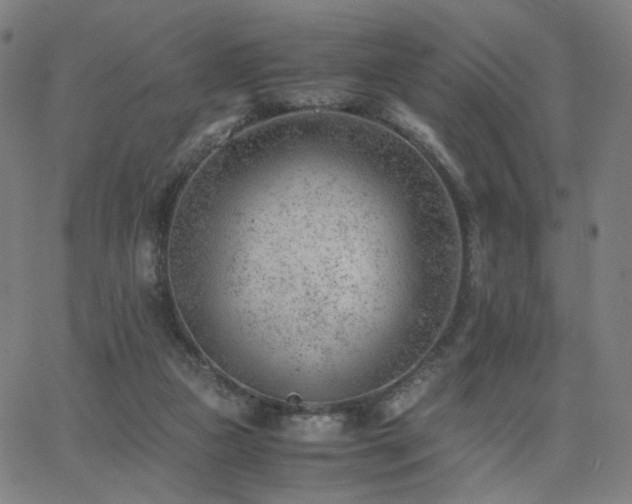X0000062600161200512211119