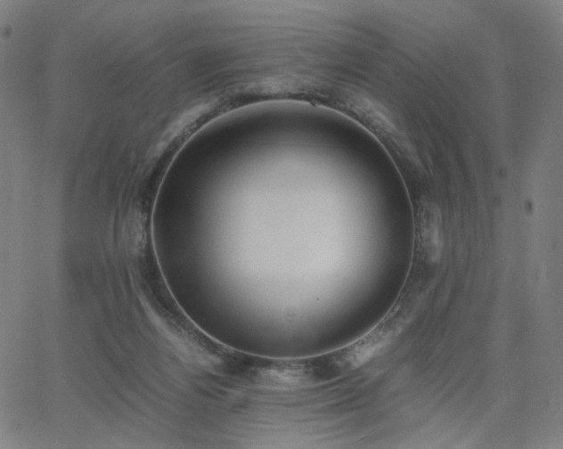 X0000062600164200512211120