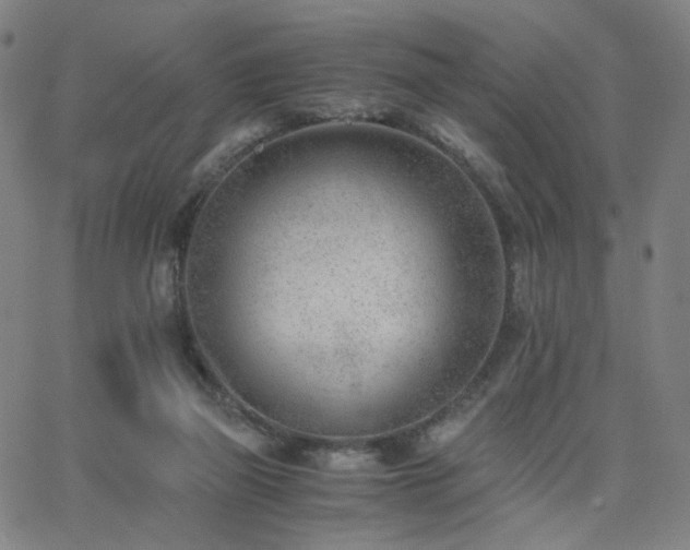X0000062600165200512211120