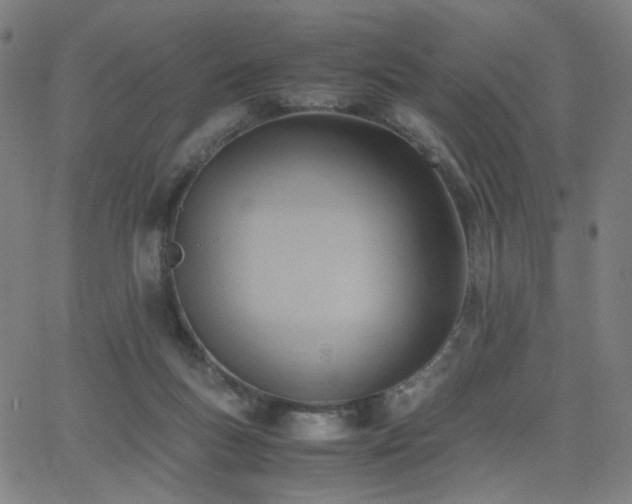 X0000062600167200512211120