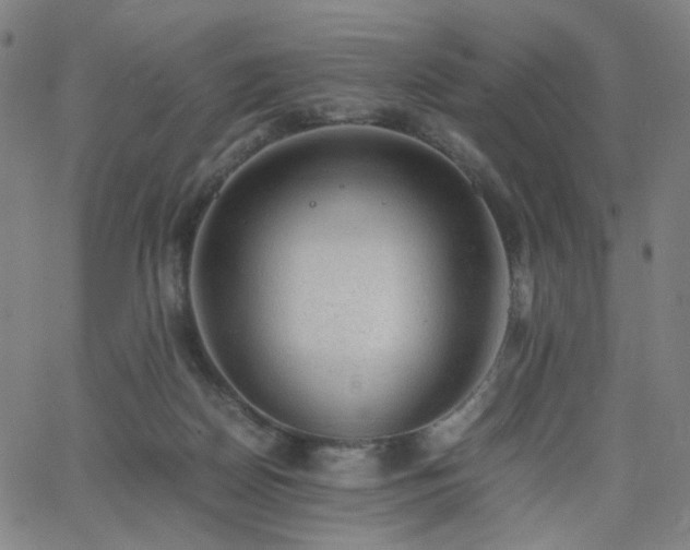 X0000062600170200512211120