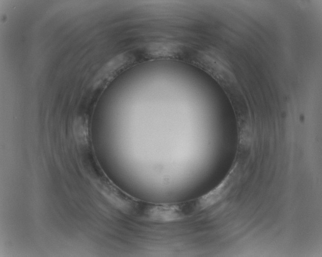 X0000062600179200512211120