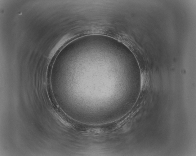 X0000062600195200512211119