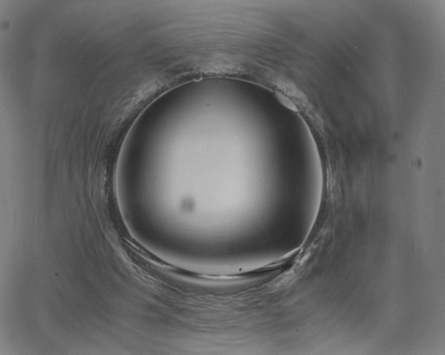 X0000062600201200512211119