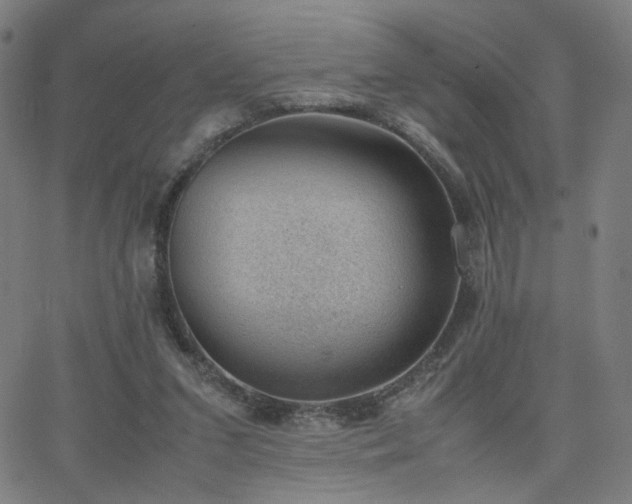 X0000062600207200512211119