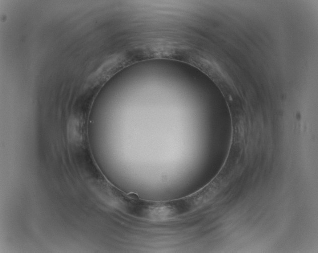X0000062600218200512211119