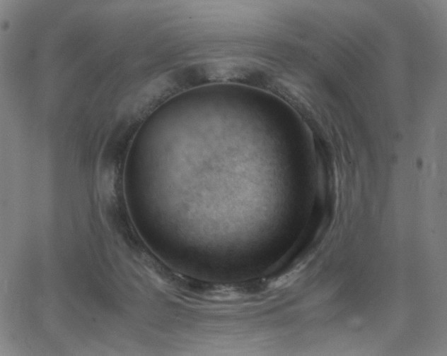 X0000062600219200512211119