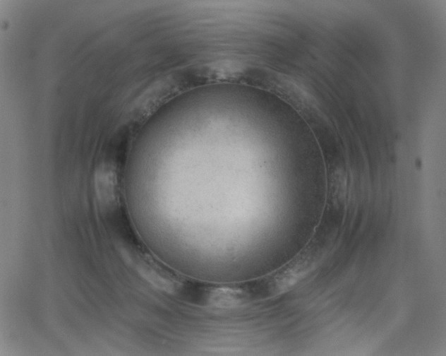 X0000062600222200512211119