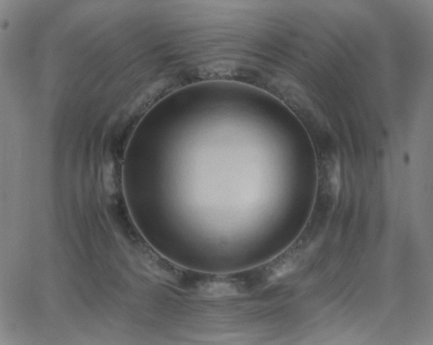 X0000062600224200512211119