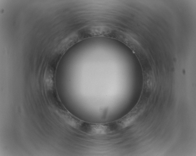X0000062600226200512211119