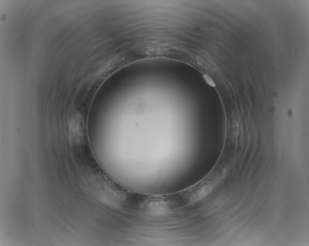 X0000062600228200512211119