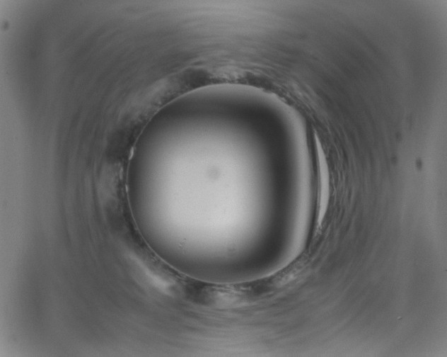 X0000062600229200512211119